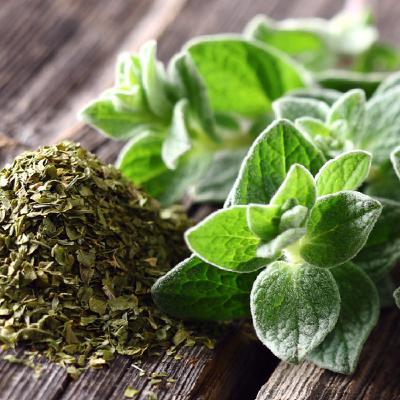 OREGANO OREGANO