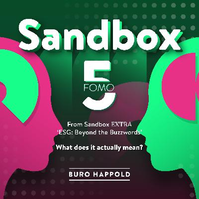 ESG Beyond the buzzwords: What does it actually mean? - Sandbox Extra FOMO5 1, from ‘ESG Beyond the Buzzwords’