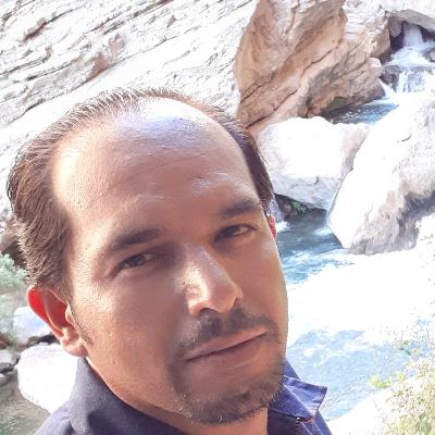 فرهنگ سازمانی