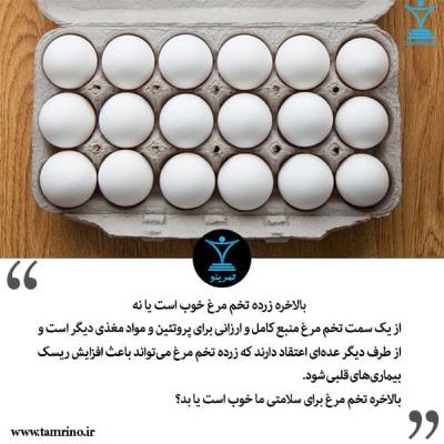 زرده تخم مرغ خوب است یا نه؟ (هوش مصنوعی)