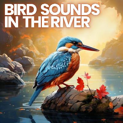 🐦🏞️ BIRD + RIVER SOUNDS 10 HOURS | Best Start of the Day