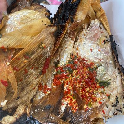 02. Comida Lacustre del Valle de México - Parte 1: El Tlapique