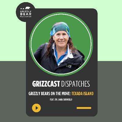 Dispatch #2: Grizzly Bears on the move — Texada Island | Dr. Lana Ciarniello