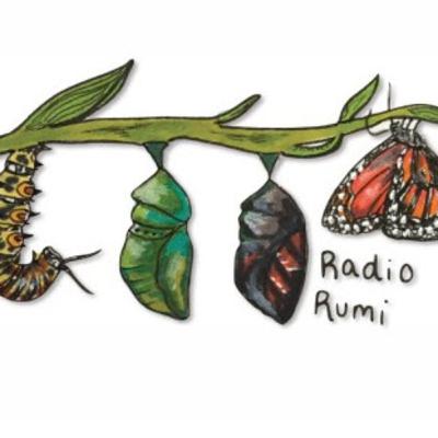 Radio Rumi Program 51: There are Thieves in Town (1) Radio Rumi Program 51: There are Thieves in Town (1)