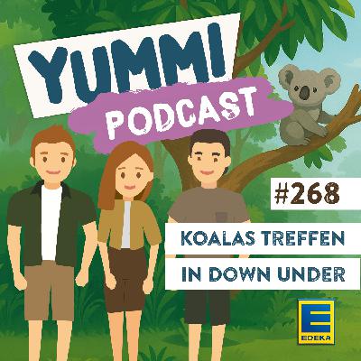 Koalas treffen in Down Under Koalas treffen in Down Under