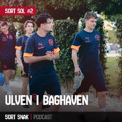 Sort Sol #2 - Ulven i Baghaven