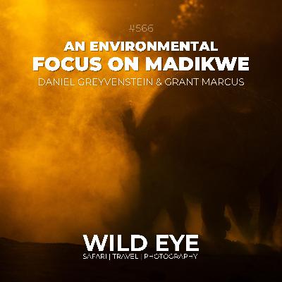 #566 - An Environmental Focus on Madikwe