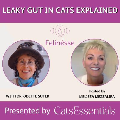 Leaky Gut in Cats Explained | Felinésse Podcast | CatsEssentials