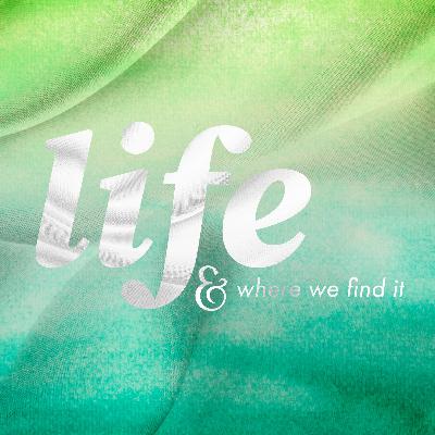 Source of Life