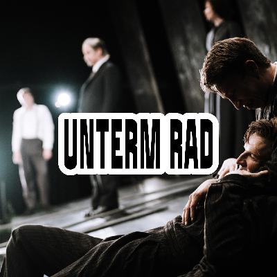 UNTERM RAD von Hermann Hesse / IN DER MATERIE