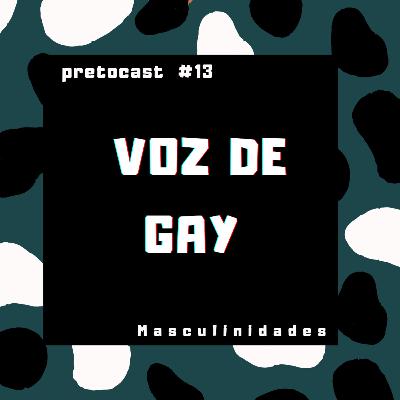 #13 VOZ DE GAY