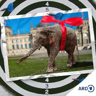 Von geschenkten Elefanten und umstrittenen Giganten