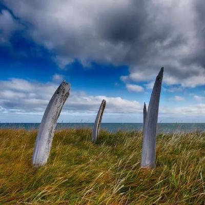 هل تعلم  اين طريق الحوت ؟