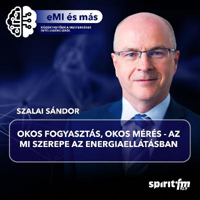 Okos fogyasztás, okos mérés - az MI szerepe az energiaellátásban | MI ÉS MÁS