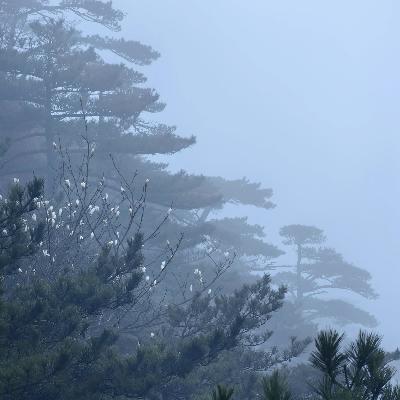 见山海02|涳之濛之，时正清明