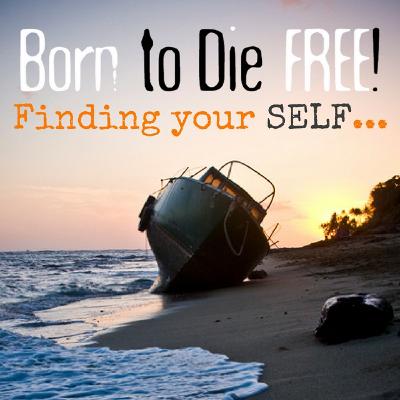 B2DF #35: Finding your SELF... B2DF #35: Finding your SELF...
