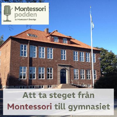 Att ta steget från Montessori till gymnasiet.