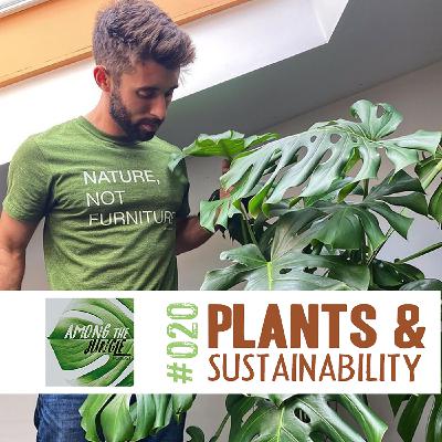 Houseplants as a Stepping Stone to Sustainability with Nick Cutsumpas