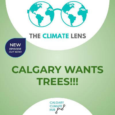 Calgary wants trees! Calgary wants trees!