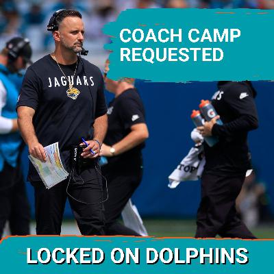 Dolphins Add A Familiar Face To Their Head Coaching Interview Search Dolphins Add A Familiar Face To Their Head Coaching Interview Search