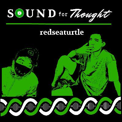 #18 redseaturtle #18 redseaturtle