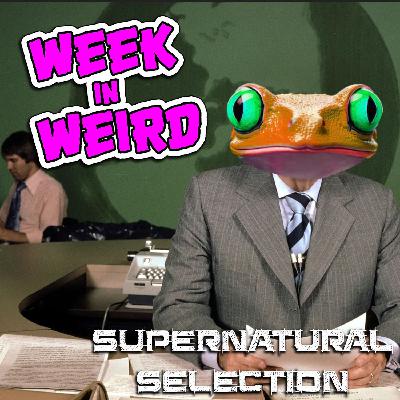Week in Weird 7-15-24
