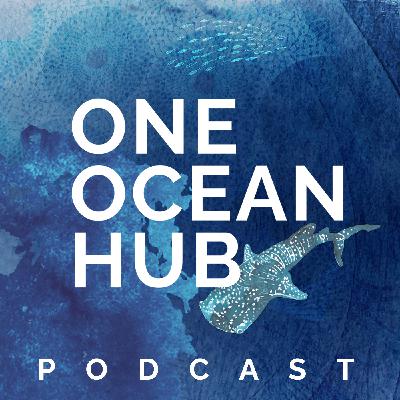Episode 6 - Part 2: The Island Stories: Colonial pasts and policies of the present