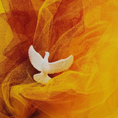 Sicut luna perfecta - Pentecostés - 07/06/25