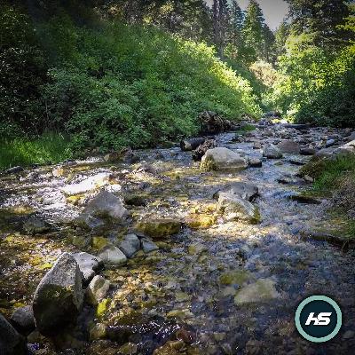 Relax By The River | Mountain Nature Ambience Relax By The River | Mountain Nature Ambience