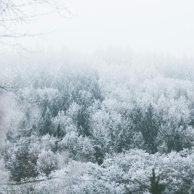 20250107 - Follow The Breath