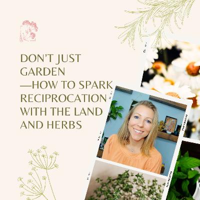 Don’t Just Garden—How to Spark Reciprocation with the Land and Herbs