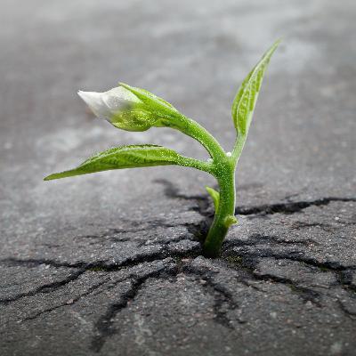 8 The potential of creation 8 The potential of creation