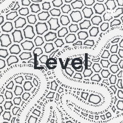 Level - up