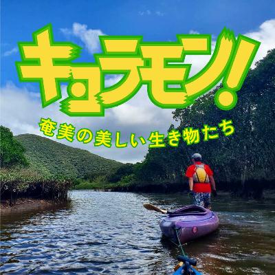 キョラモンナイトツアーのカスタム編～自然と文化に浸る奄美体験～