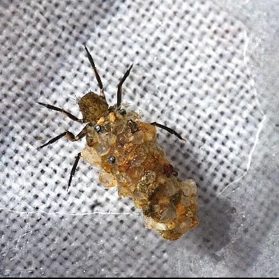 Halloween Special: Gutted