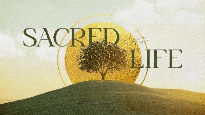 We Believe In | Sacred Life | Jay Pathak | Mile High Vineyard We Believe In | Sacred Life | Jay Pathak | Mile High Vineyard