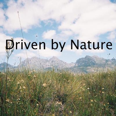 Welcome to Driven by Nature!