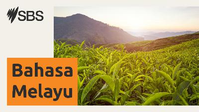 Kembara Kulinari Nikmati Budaya Sarapan Pagi Malaysia Serta Raja Segala Buah-Buahan