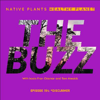 The Buzz - Disclaimer