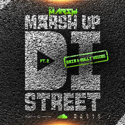 MARSHUP DI STREET PT 2 {GAZA & GULLY VOICES}