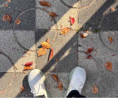 1061.11/25 ナポリタン2束 from Radiotalk 1061.11/25 ナポリタン2束 from Radiotalk