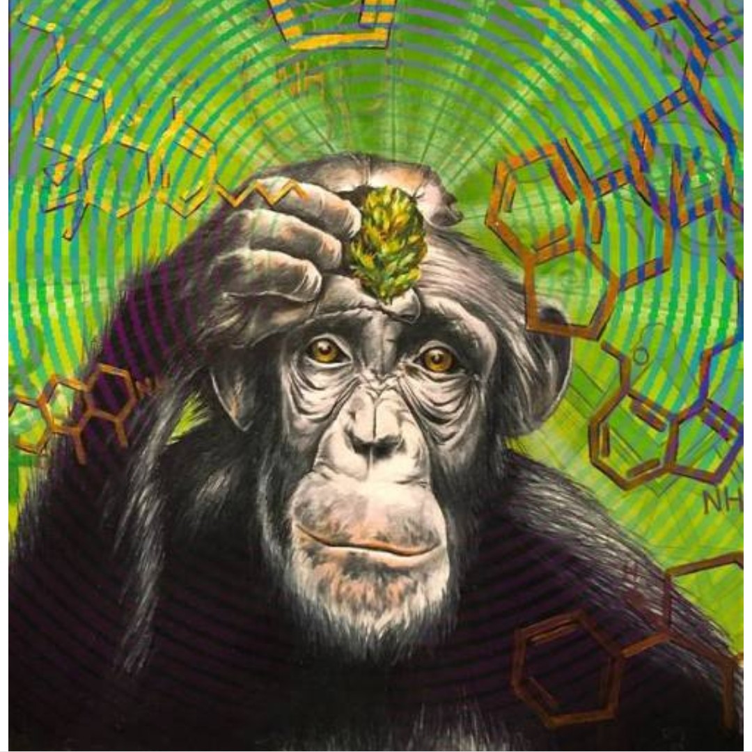 Fool Mental Alchemist