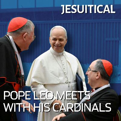 Pope Leo and Pope Francis: the similarities—and differences