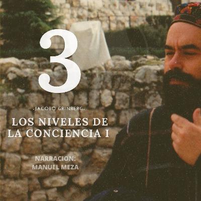 | Cap 3 l FLUIR EN EL SIN YO l Jacobo Grinberg | Cap 3 l FLUIR EN EL SIN YO l Jacobo Grinberg