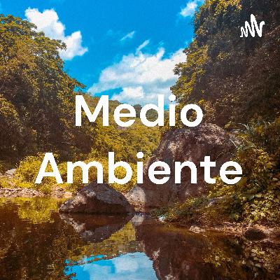 Medio ambiente-EcoNota🍀☘️🌿🌺🌴🌵🍂🍁🌾