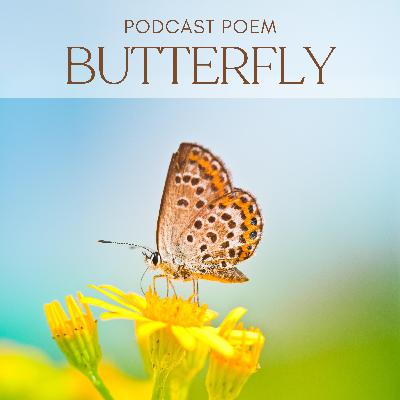 Butterfly Butterfly