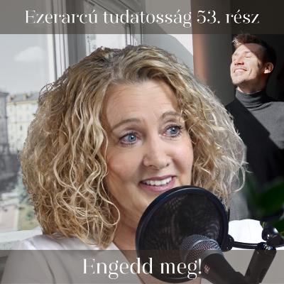 Engedd meg! - Ezerarcú tudatosság 53. rész Engedd meg! - Ezerarcú tudatosság 53. rész
