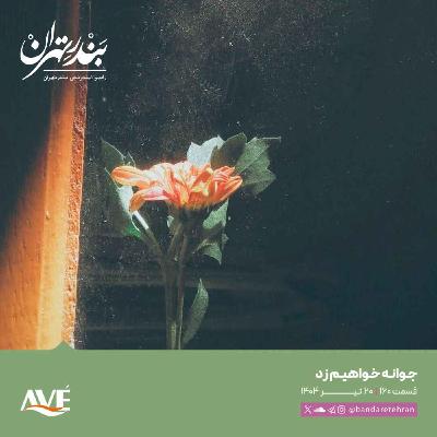 صد و شصتم | جوانه خواهیم زد