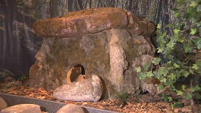 مراسلو الجزيرة-الدولمينات بالقوقاز وحياة البادية بموريتانيا مراسلو الجزيرة-الدولمينات بالقوقاز وحياة البادية بموريتانيا