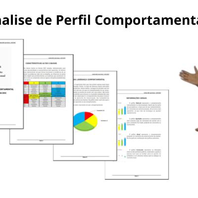 DISC - Perfil Comportamental Completo